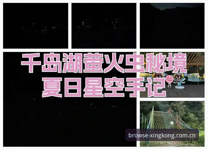 星空娱乐平台赛事数据下载深度评测：一个老用户的真实使用手记