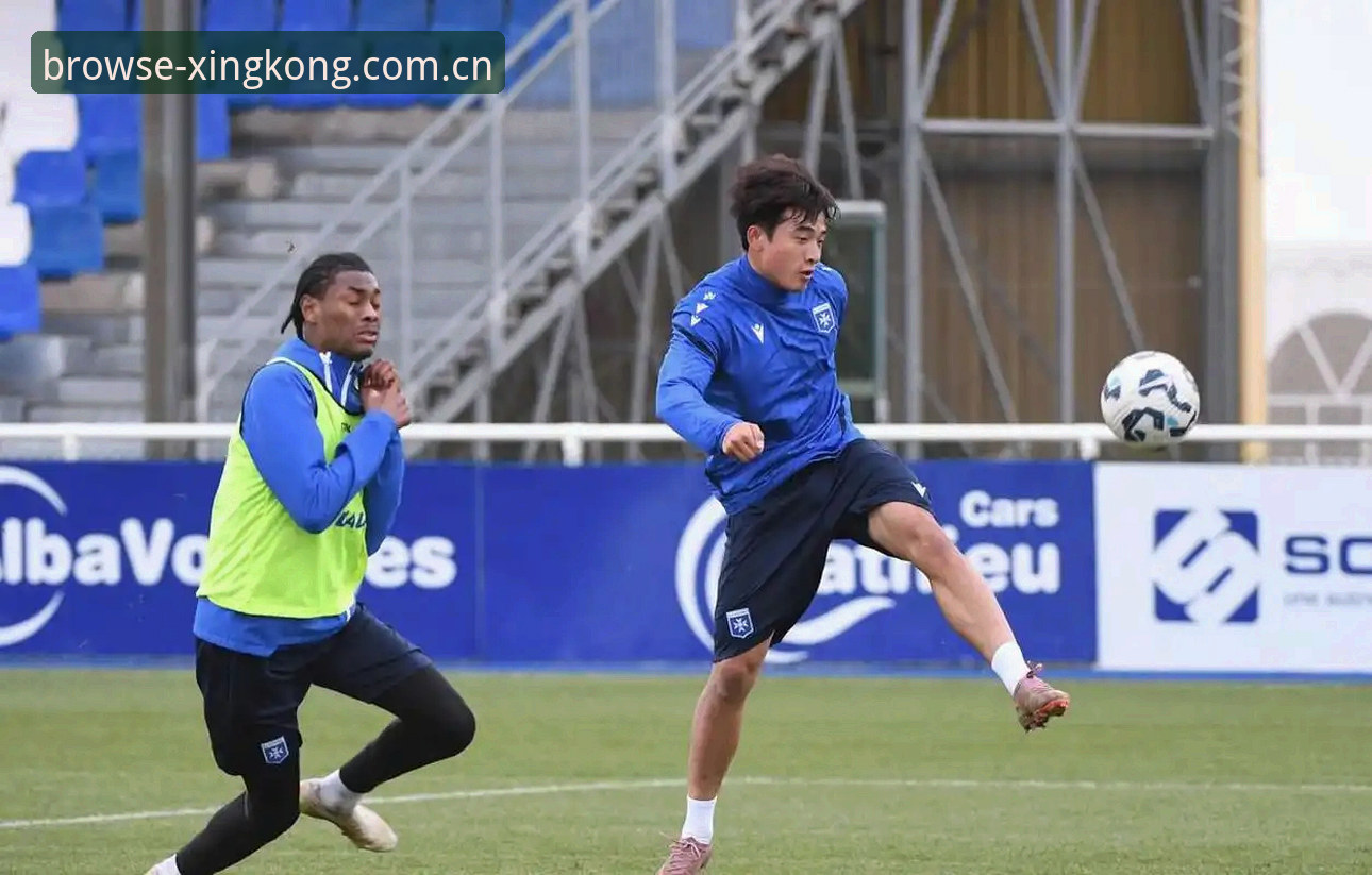 XINGKONG赛事数据下载 U19国足土伦杯出局深度分析:数据背后的攻防失衡与青训启示