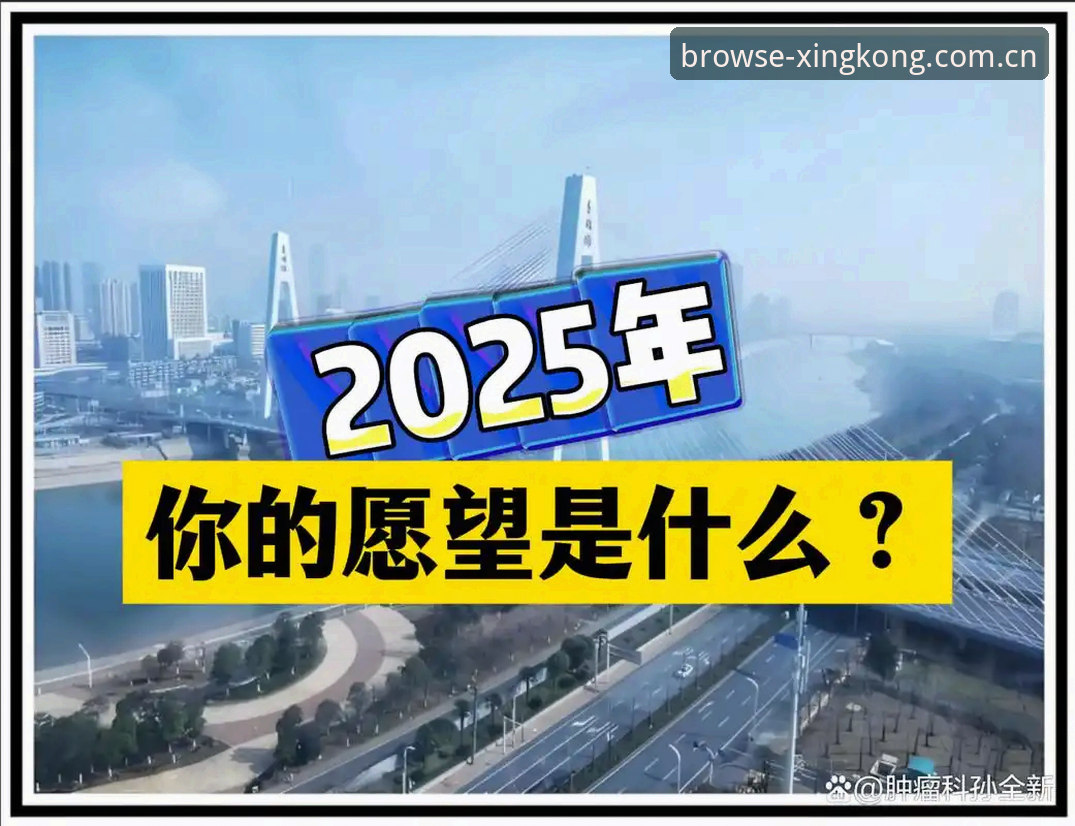浏览更轻松2025版安全吗？亲身踩坑 vs 正确操作，我选后者
